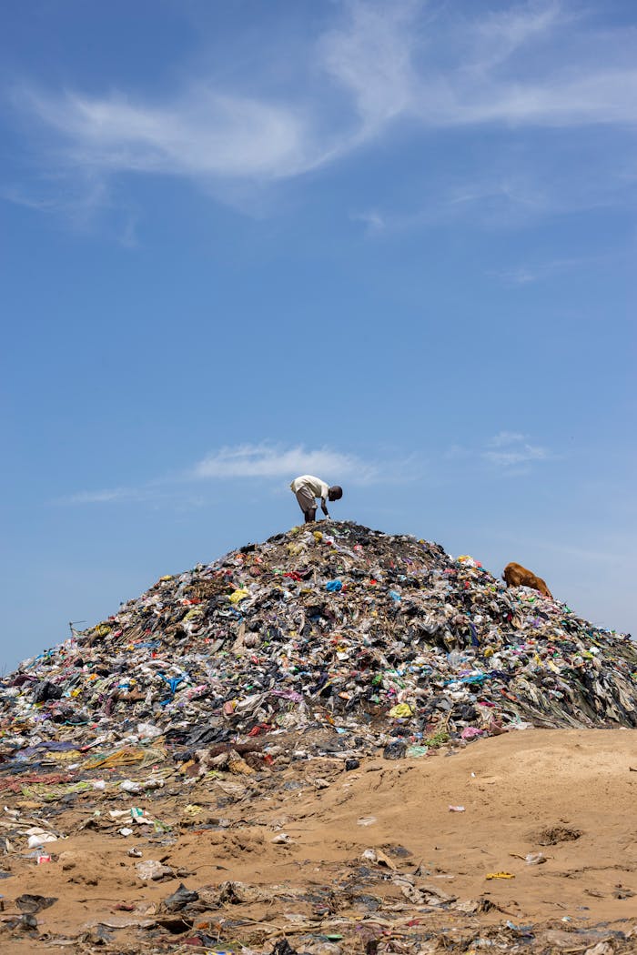 Services A man stands atop a mound of garbage under a bright blue sky, highlighting pollution.